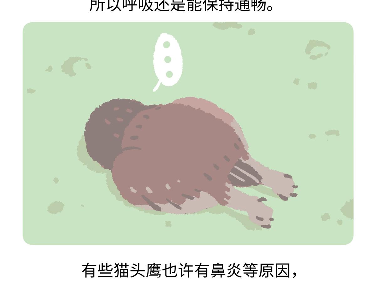 第222话-第223话
