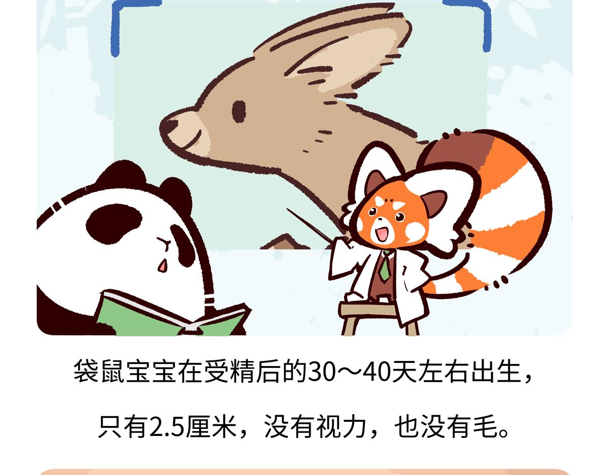 第228话-第229话