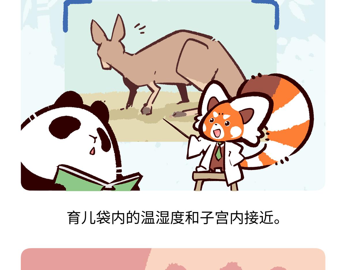 第230话-第231话