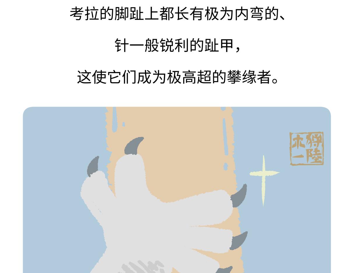 第234话-第235话