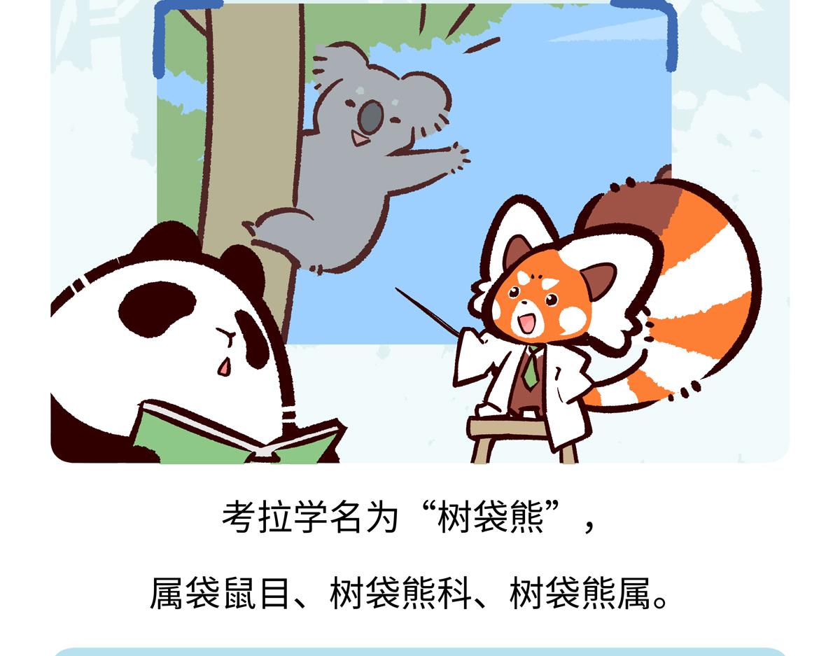 第236话-第237话