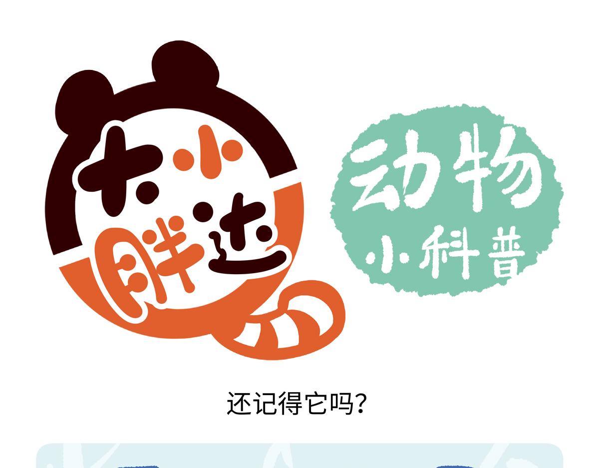 第236话-第237话