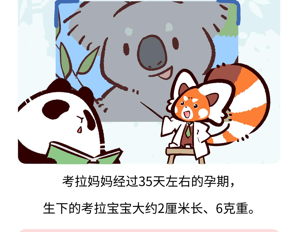 第236话-第237话