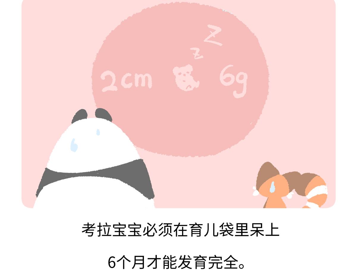 第236话-第237话