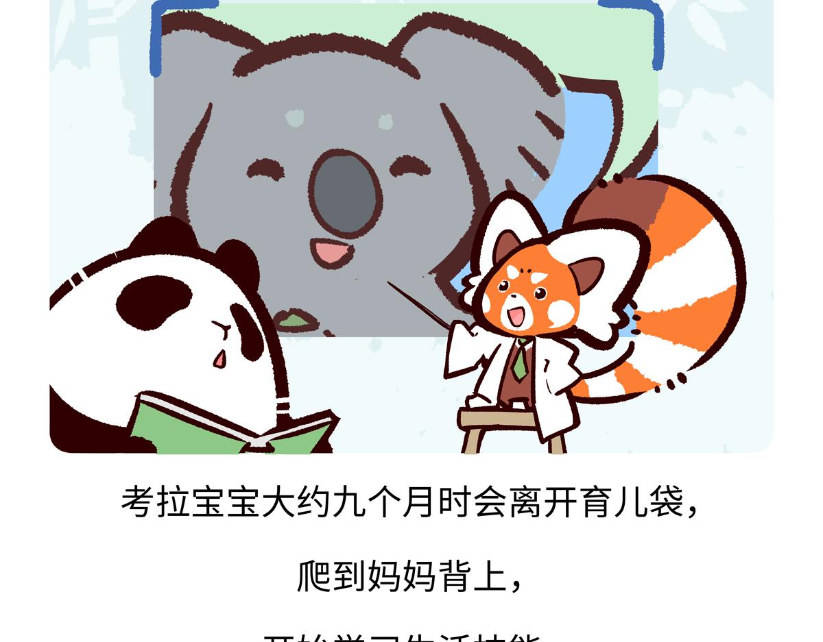 第238话-第239话