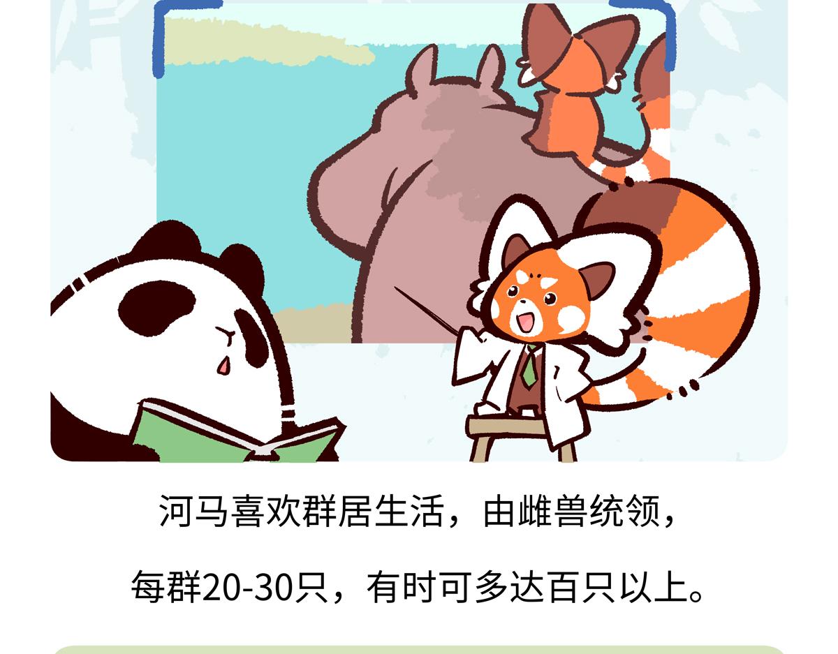 第242话-第243话