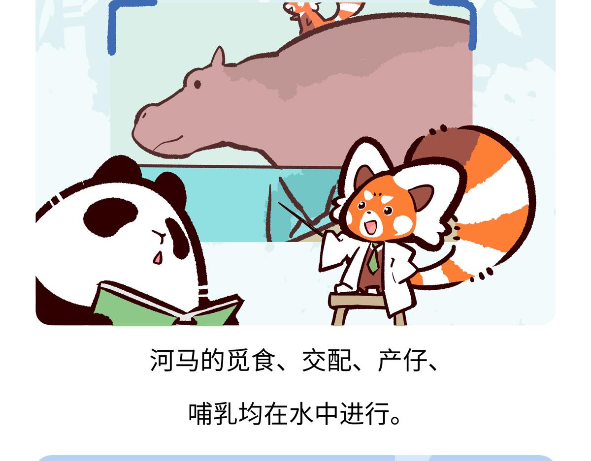 第242话-第243话