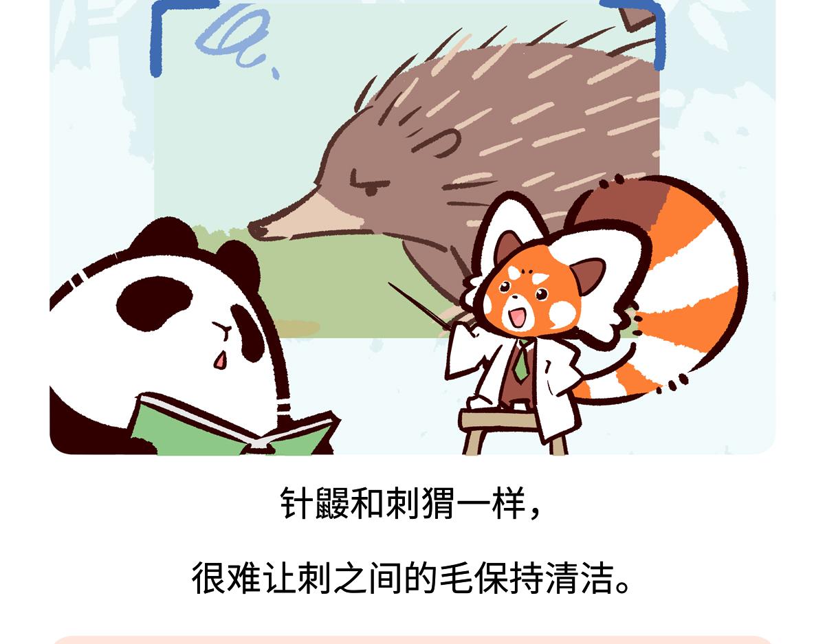 第256话-第257话