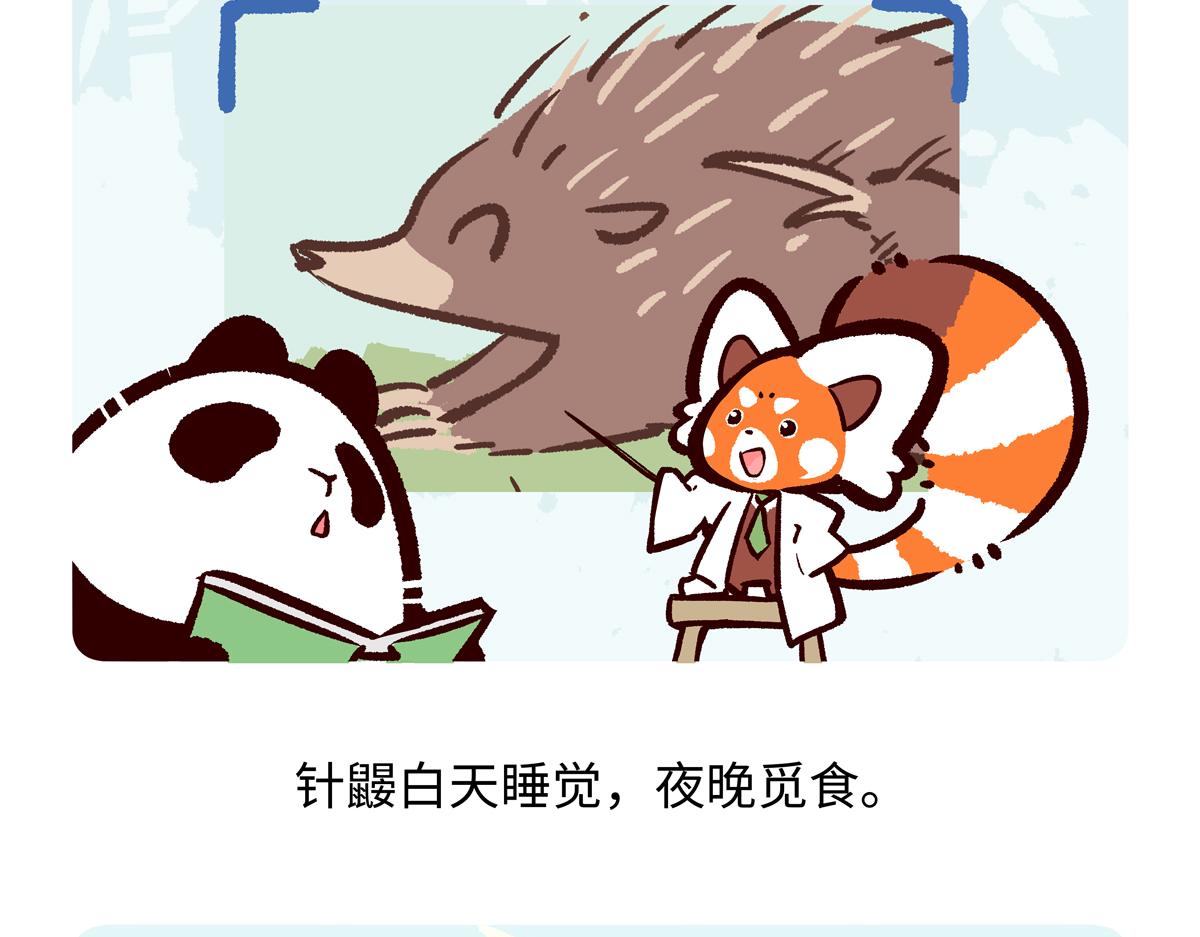 第256话-第257话
