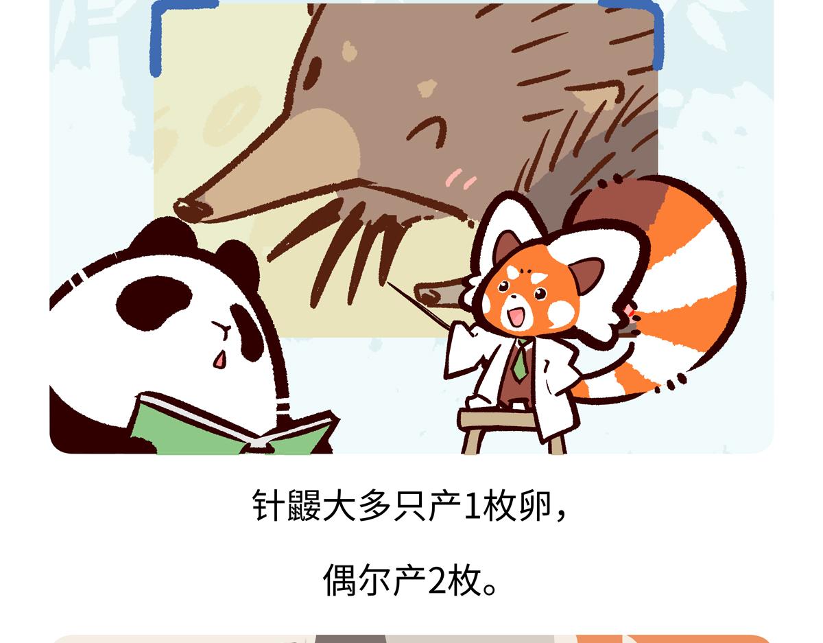 第258话-第259话