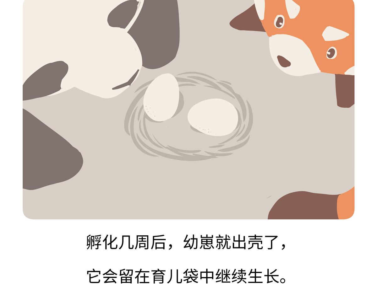 第258话-第259话