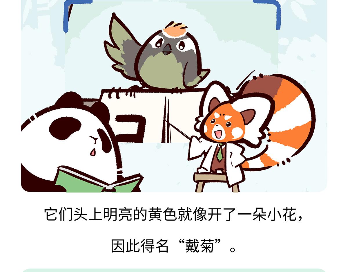 第262话-第263话