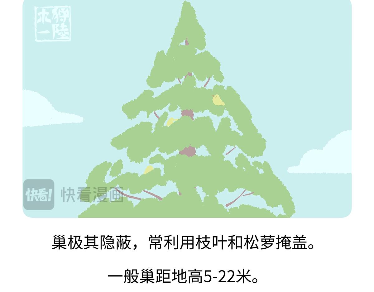 第262话-第263话