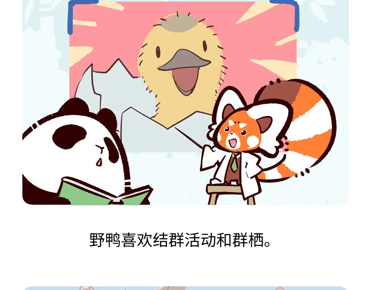 第268话-第269话