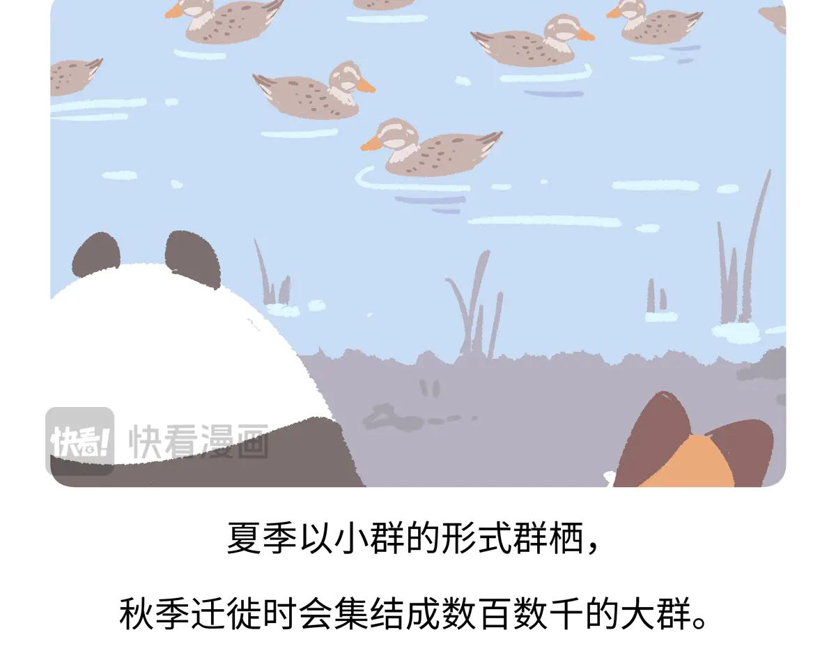 第268话-第269话