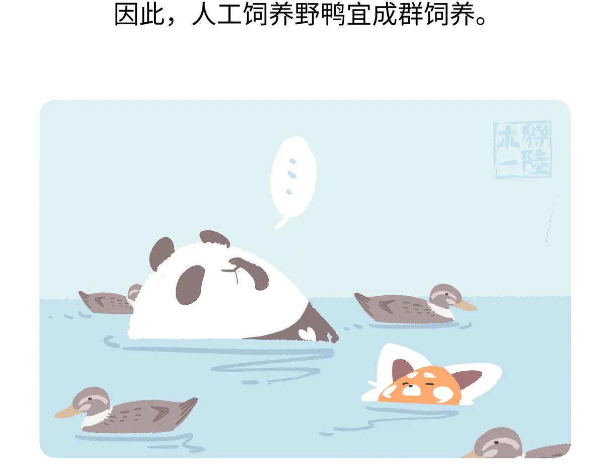 第268话-第269话