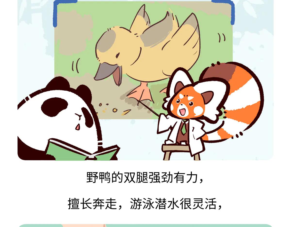 第268话-第269话