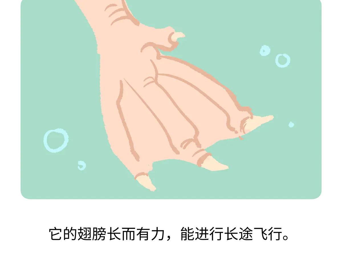 第268话-第269话