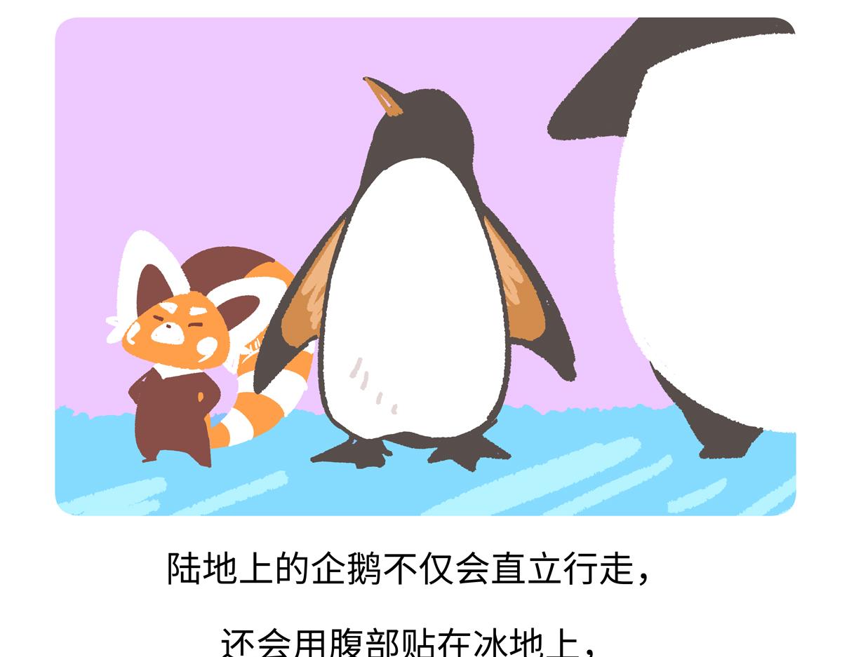 第270话-第271话