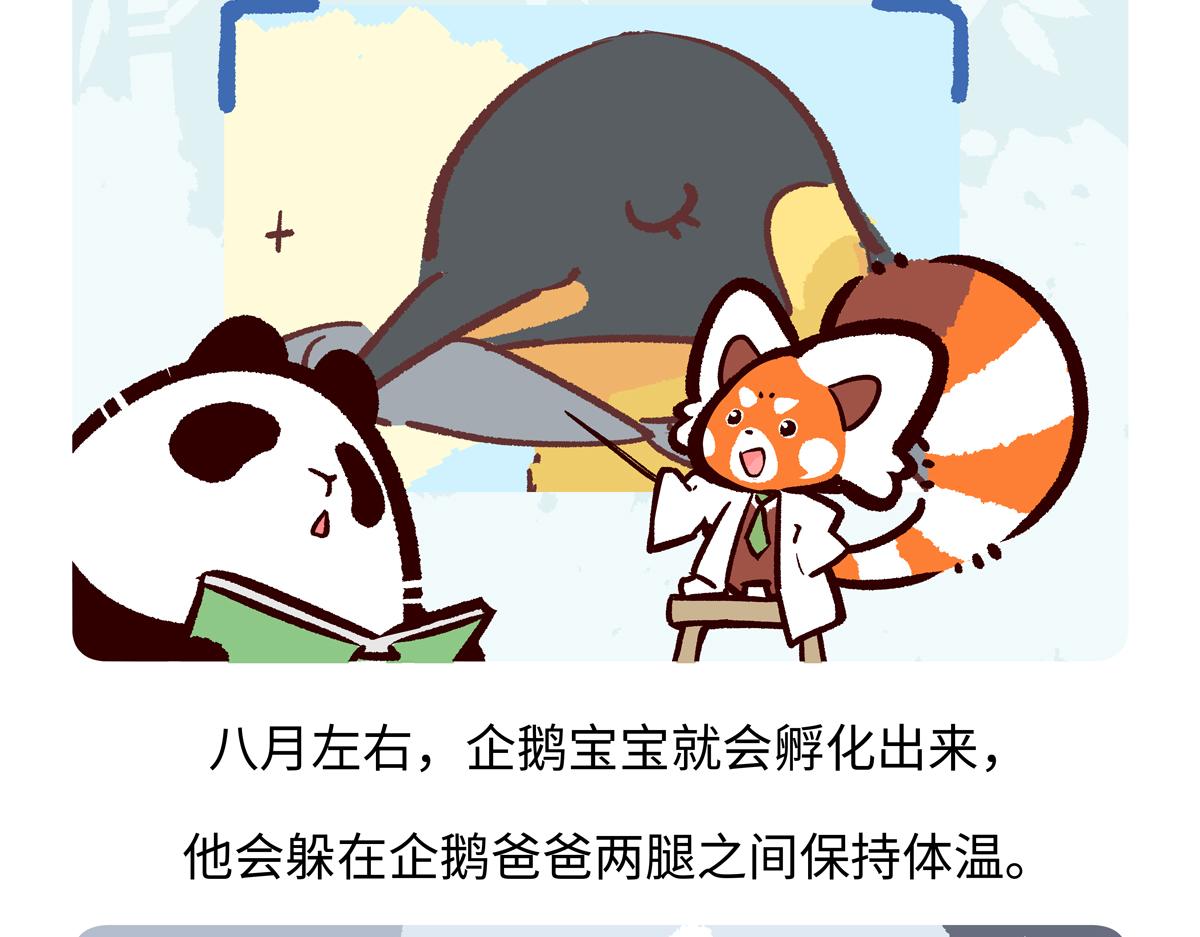 第276话-第277话