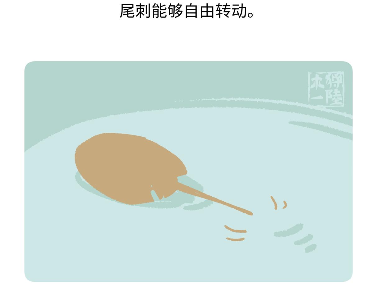 第278话-第279话