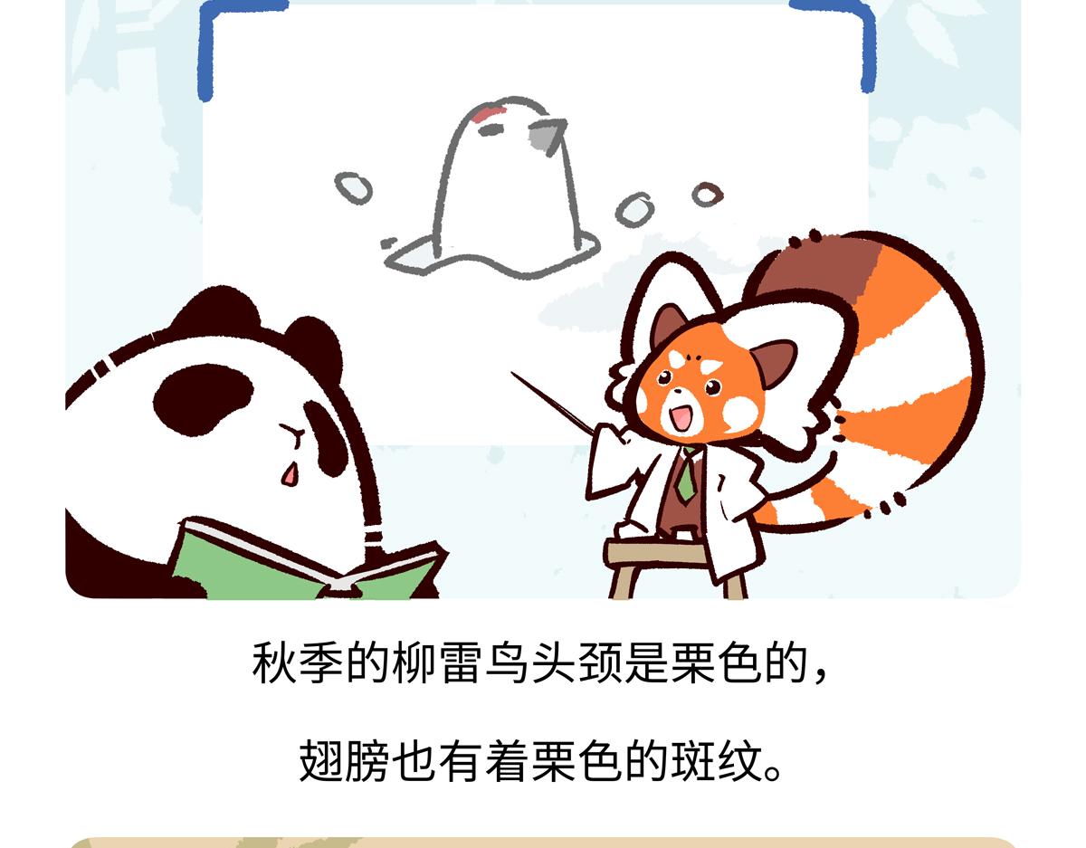 第284话-第285话