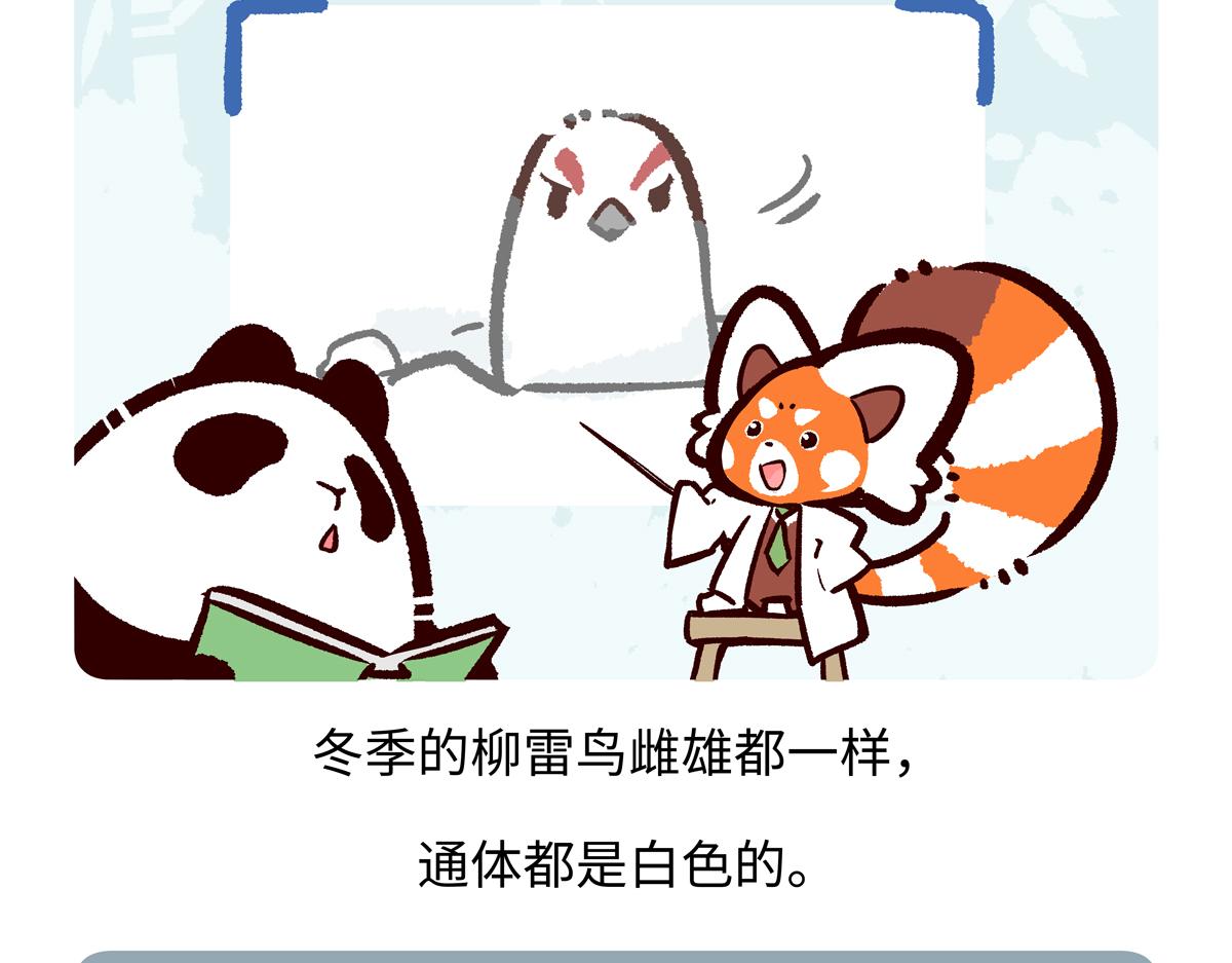 第284话-第285话