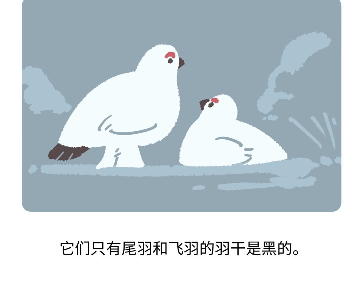 第284话-第285话