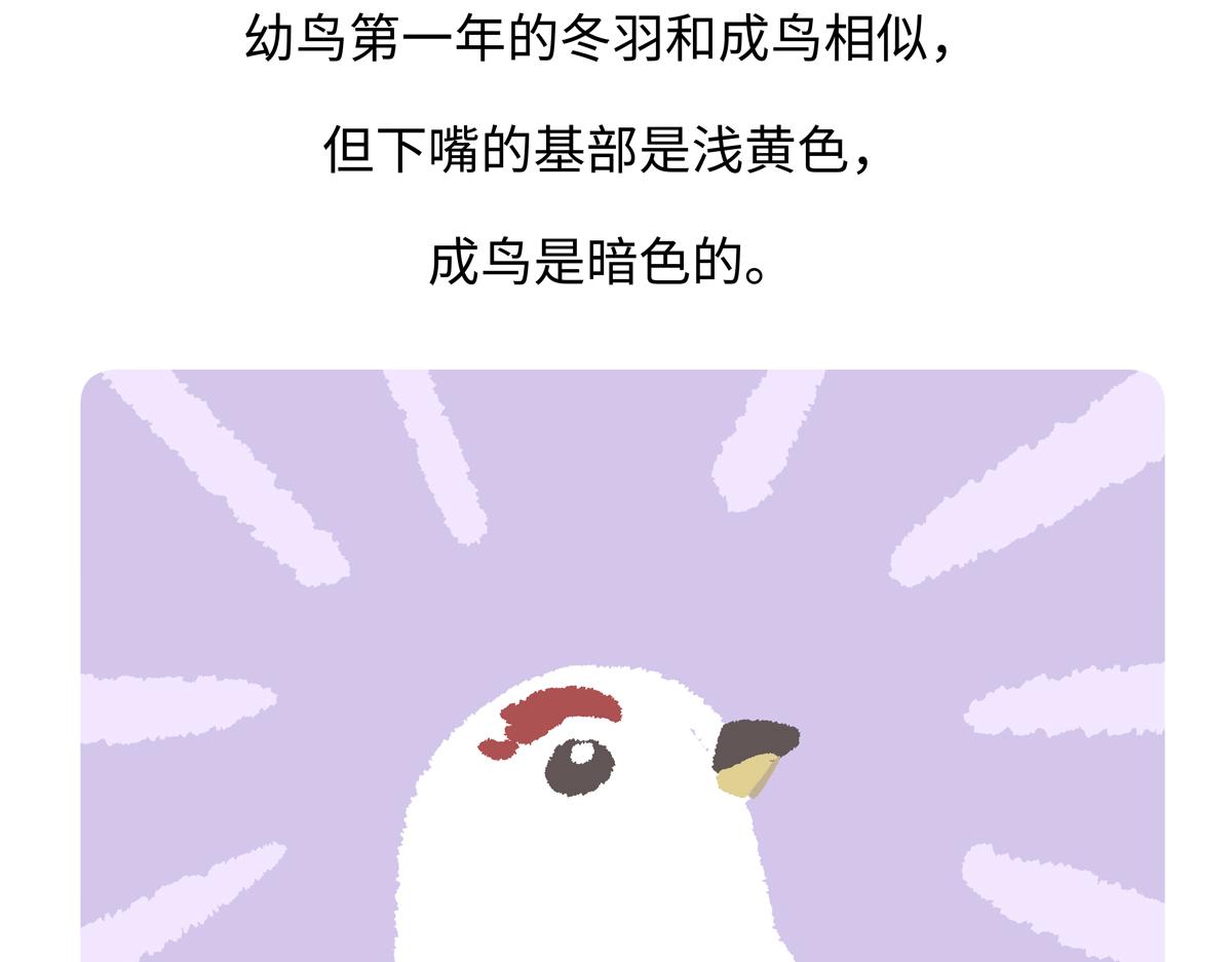 第284话-第285话