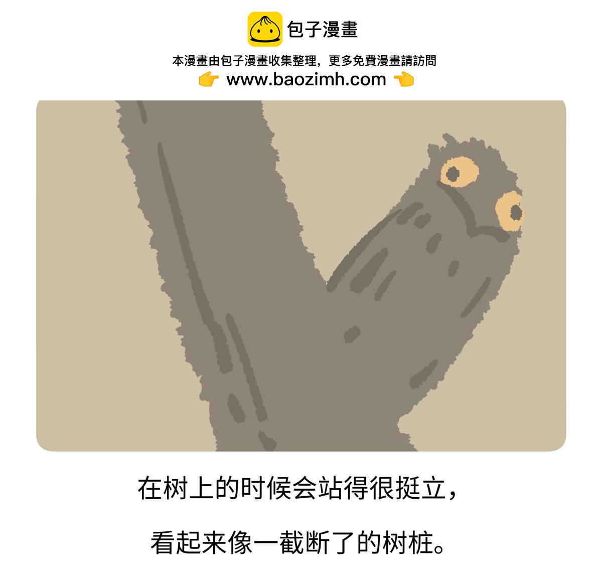 第286话-第287话
