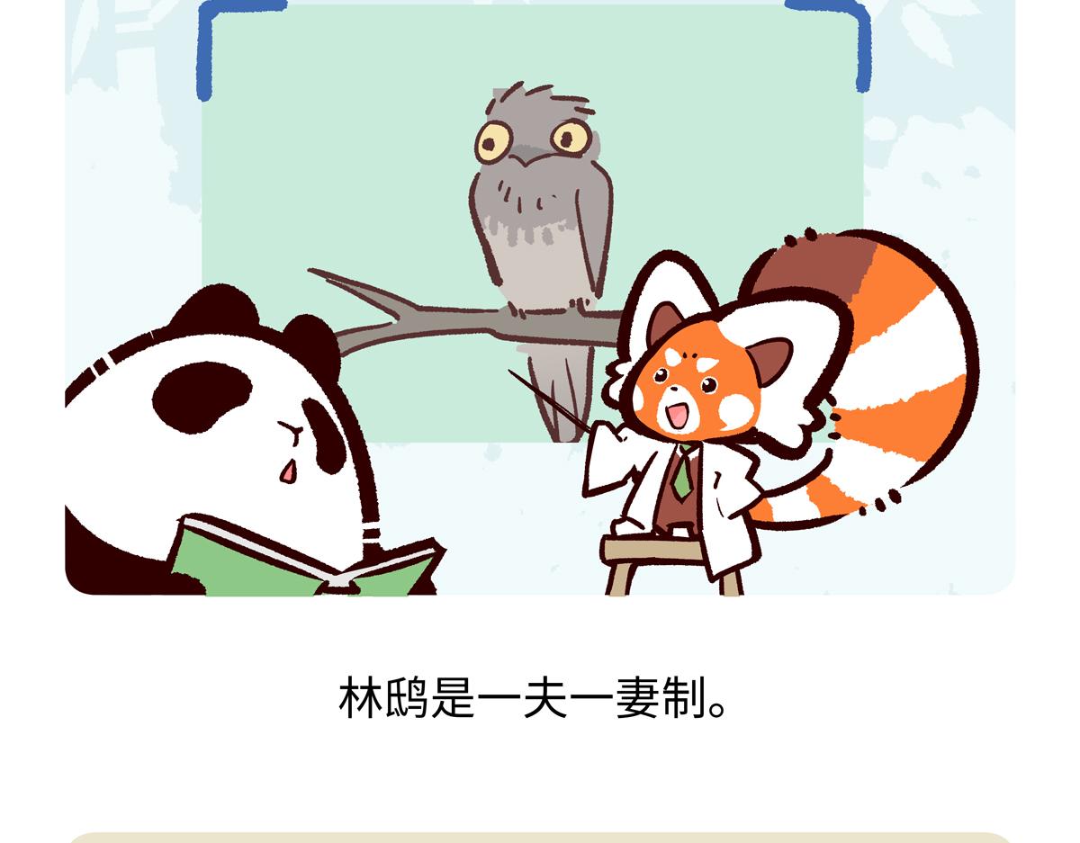 第288话-第289话