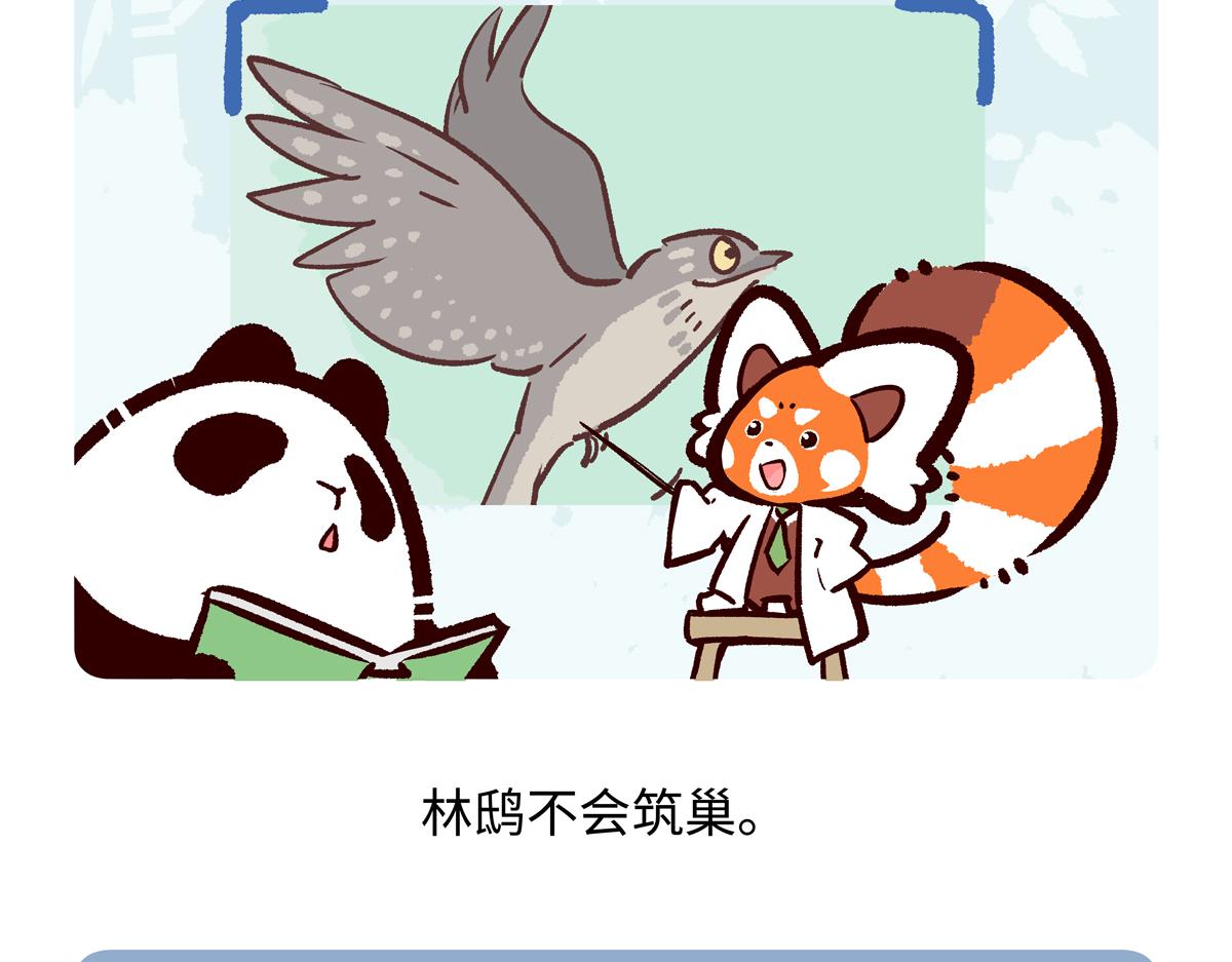 第288话-第289话