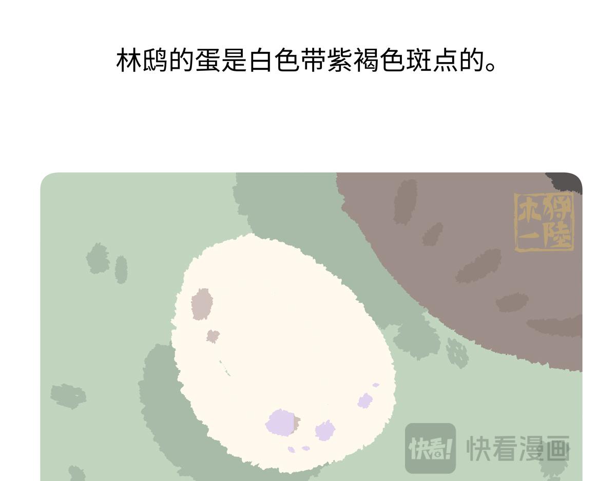 第288话-第289话