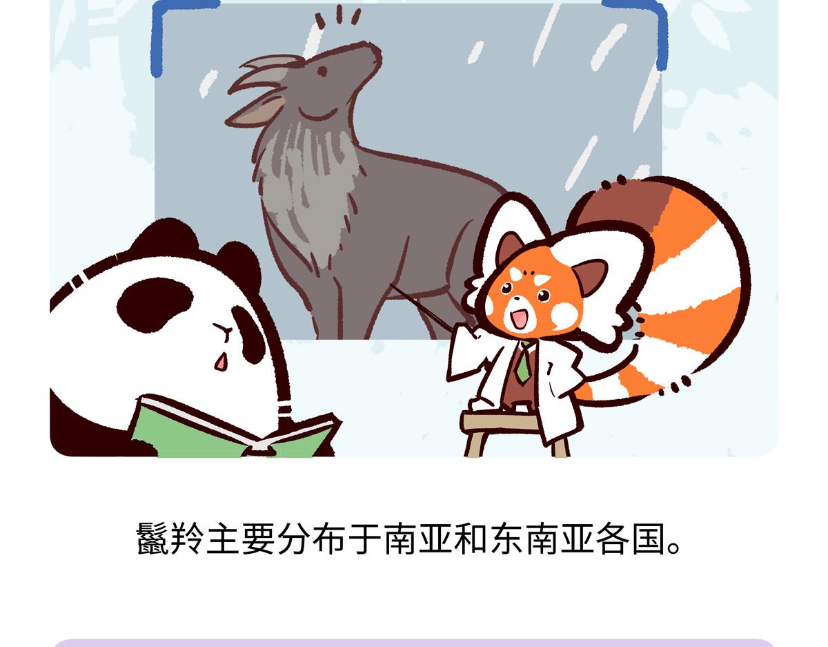 第290话-第291话