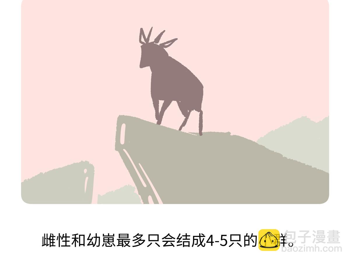 第292话-第293话