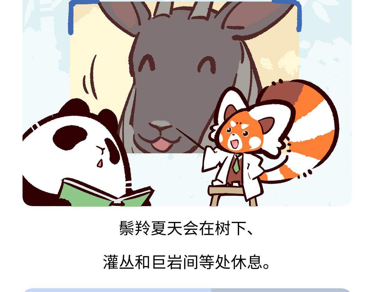 第292话-第293话