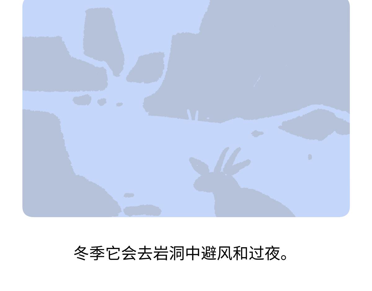 第292话-第293话