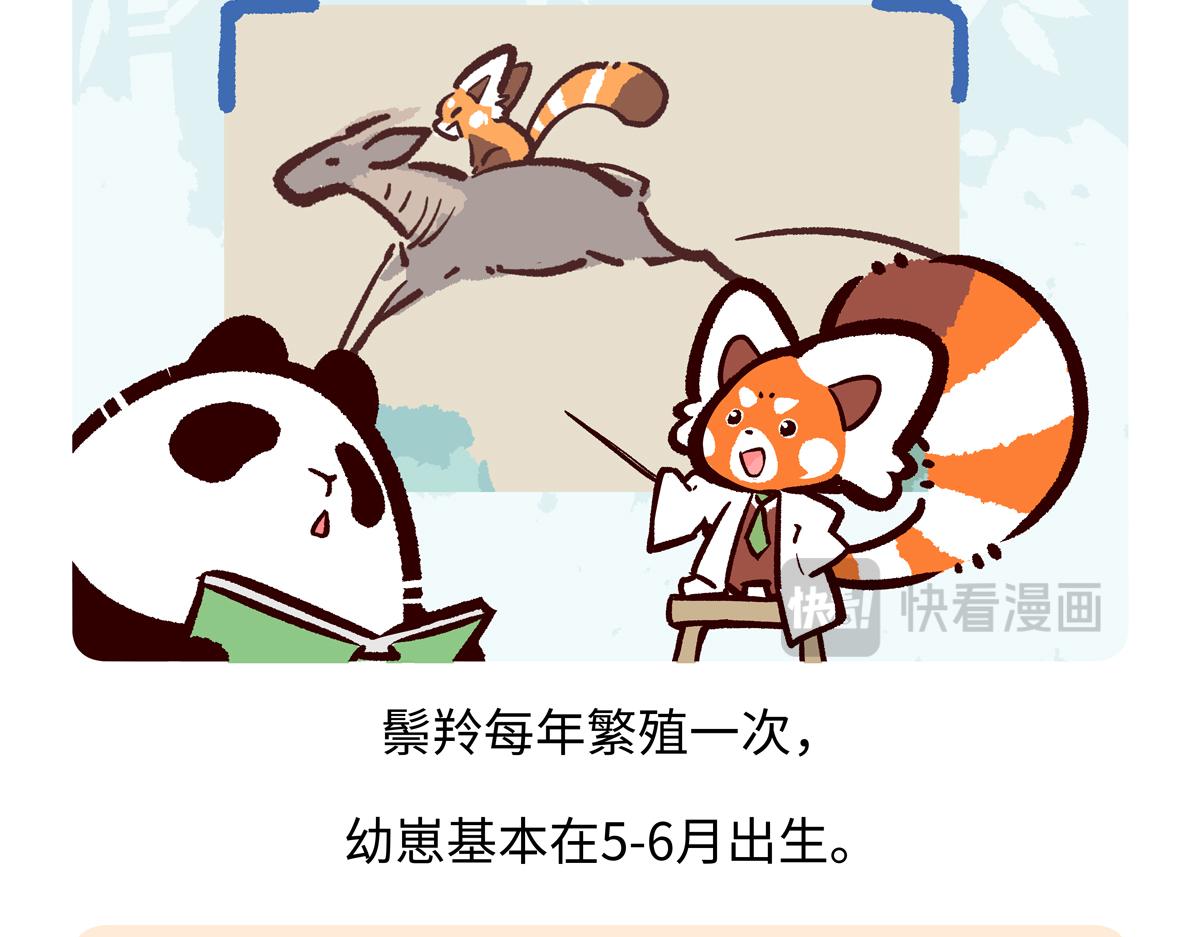 第294话-第295话