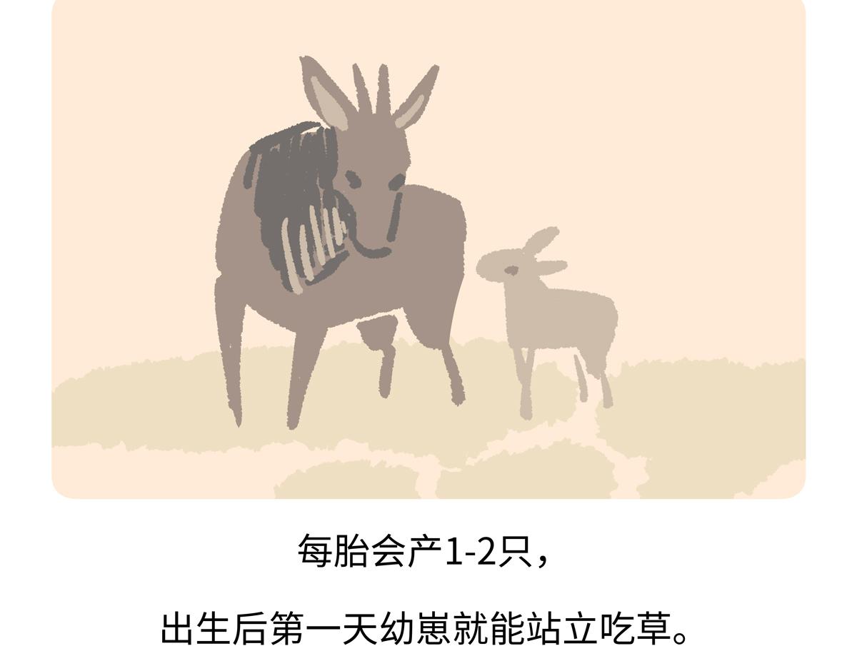 第294话-第295话
