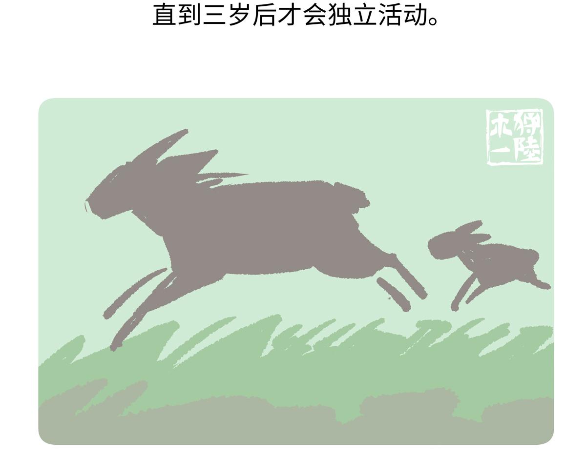 第294话-第295话