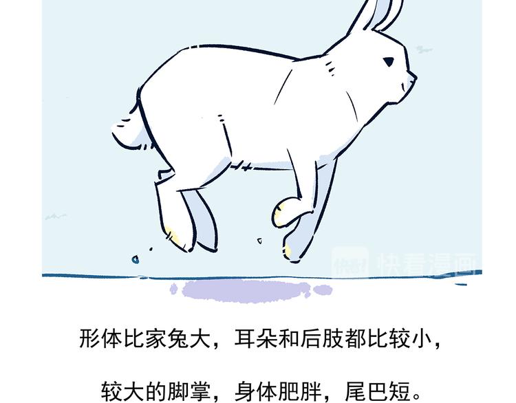 第30话-第31话