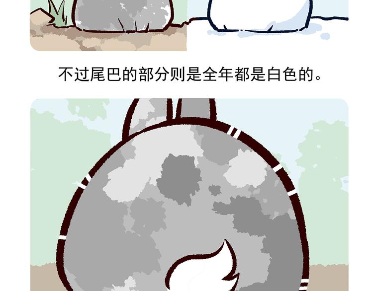 第30话-第31话