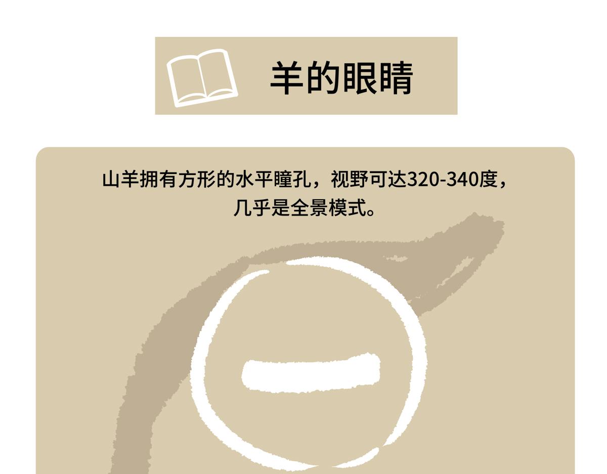 第二季第11话-第313话