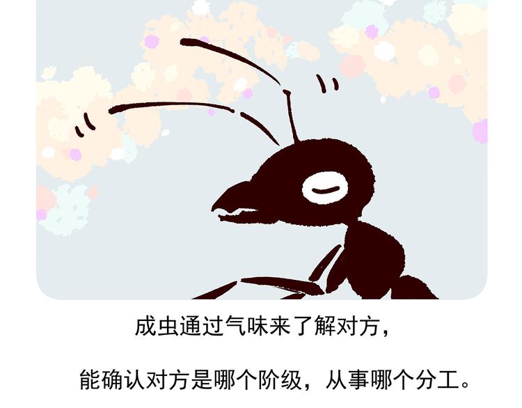 第36话-第37话