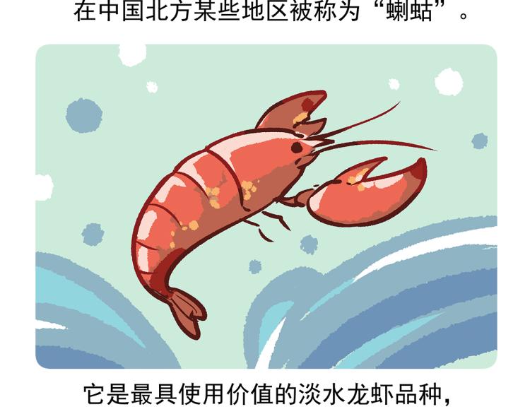 第72话-第73话
