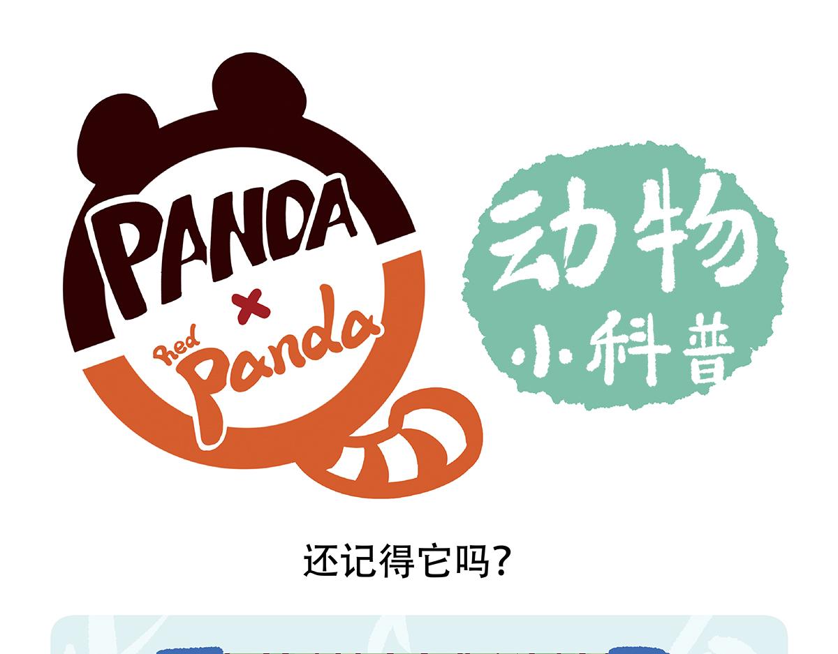 第80话-第81话