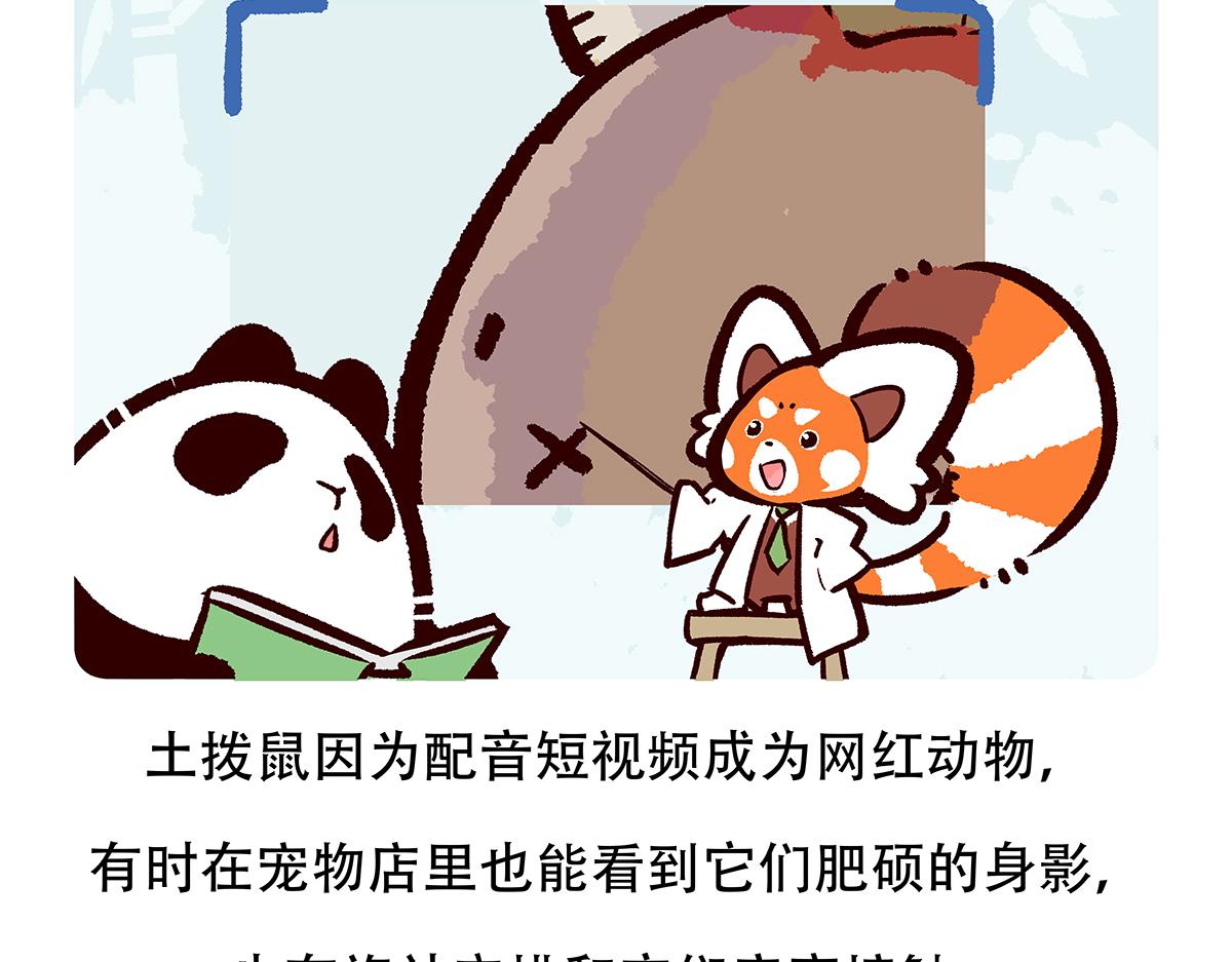 第90话-第91话