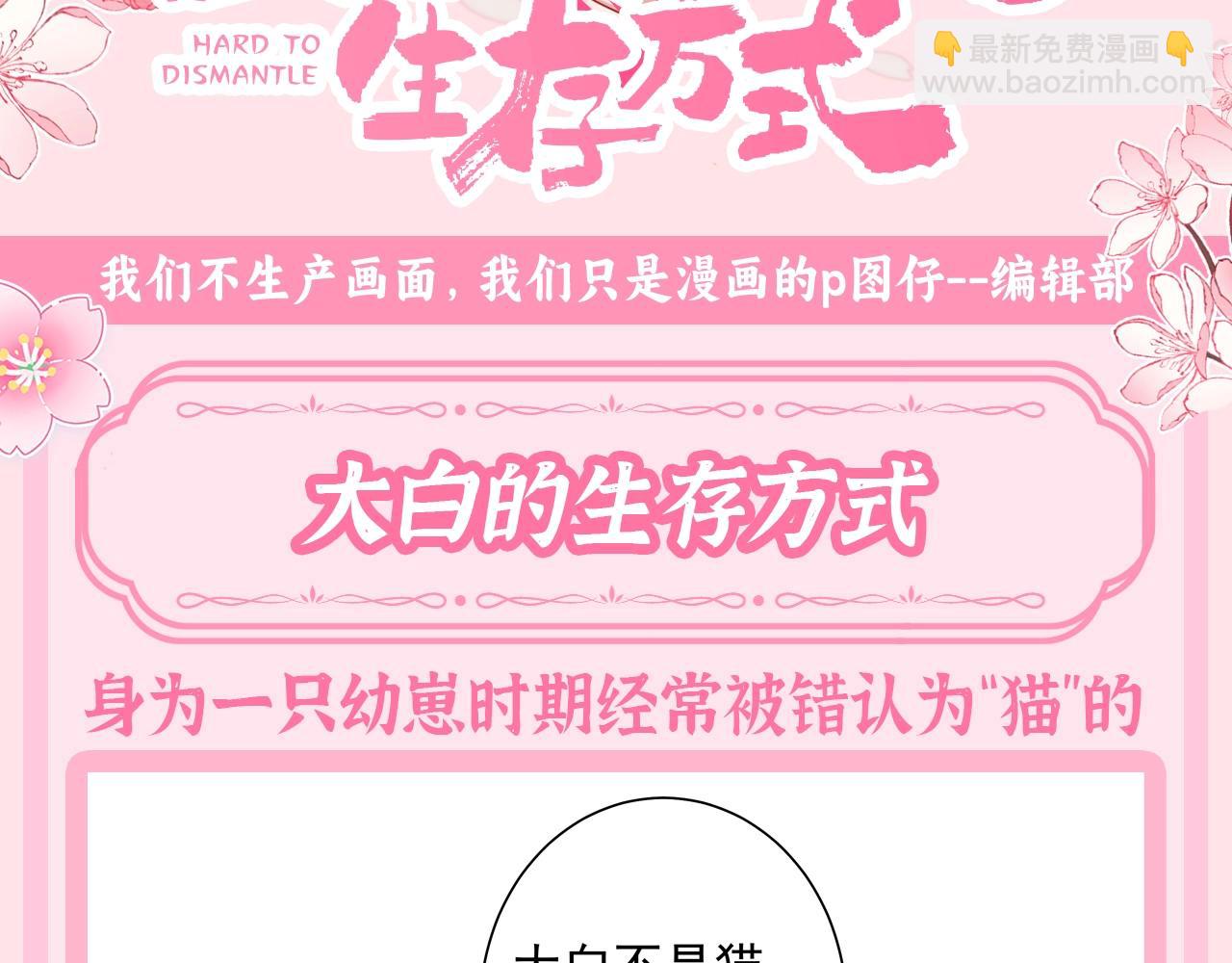 🍝炮灰闺女的生存方式 加更第62期 搞点事：大白的生存方式 第3页