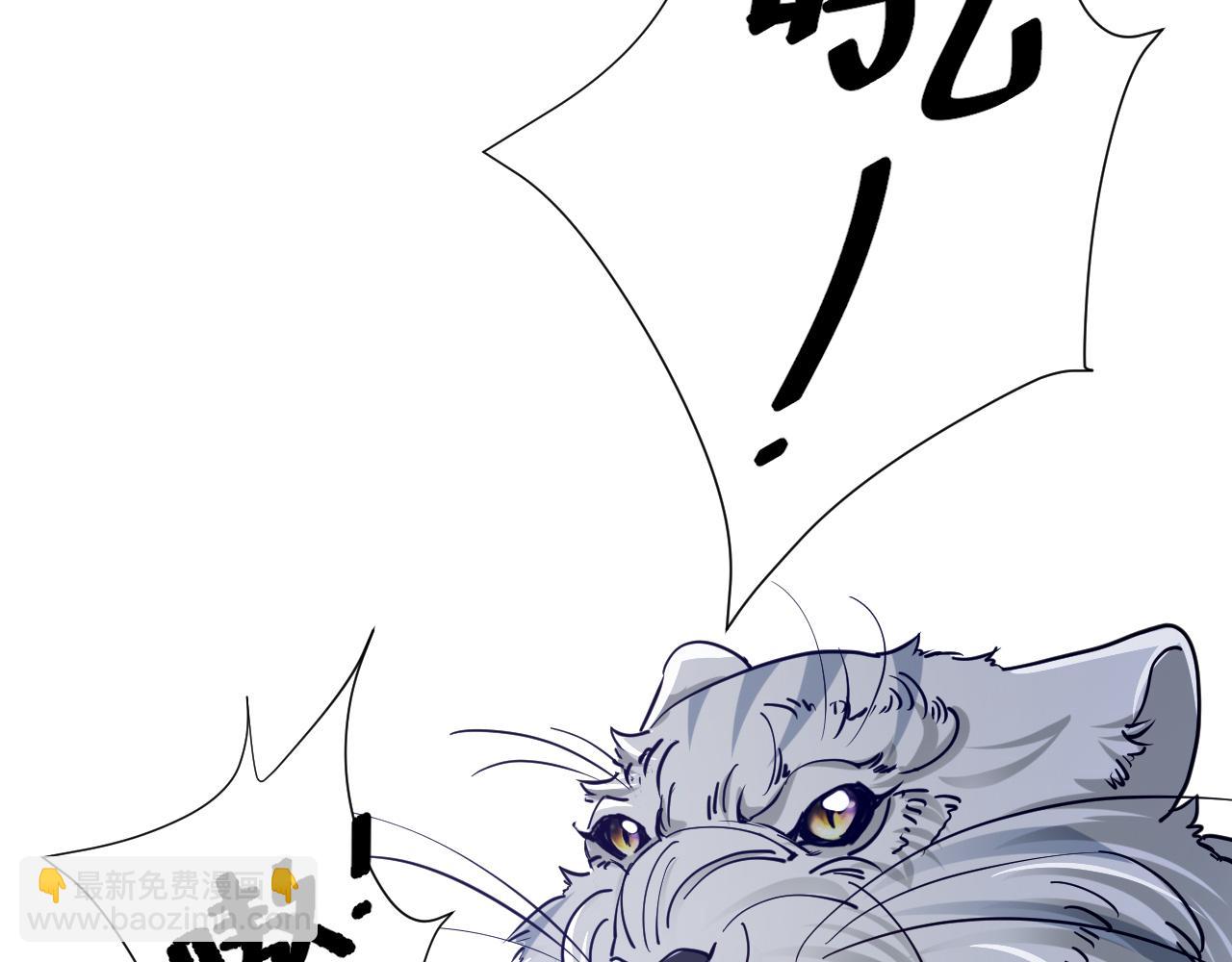 🍝炮灰闺女的生存方式 第63话 全家出动！ 第43页
