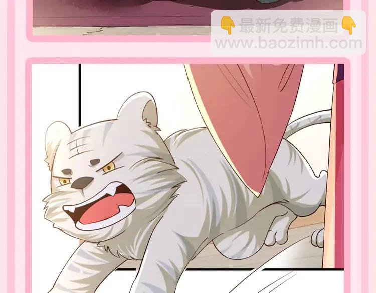 🍝炮灰闺女的生存方式（彩蛋日更中） 加更第55期 搞点事：炮灰童话时间--蛙虎王子 第6页